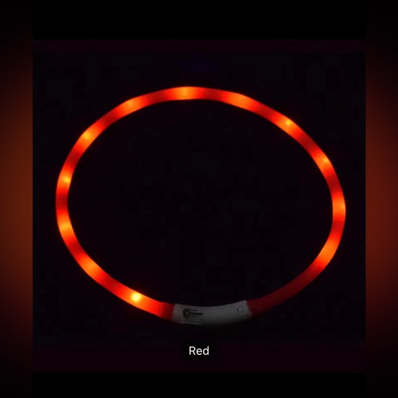 Pet’s LED Collar USB rechargeable - Red Color - Picture 12 of 12